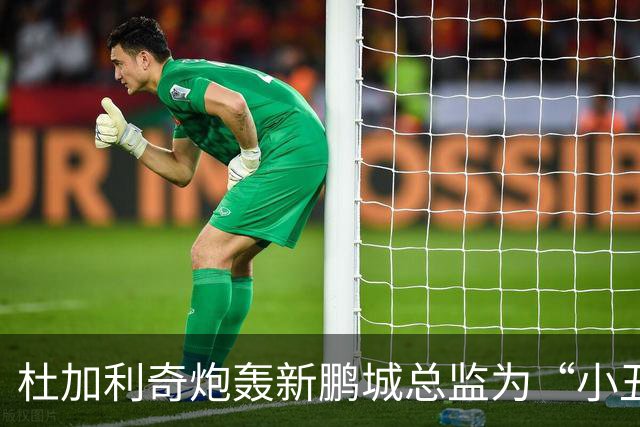 杜加利奇炮轰新鹏城总监为“小丑”：滚回家去吧，你根本不懂足球